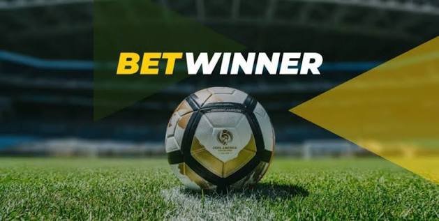 All You Need to Know About BetWinner