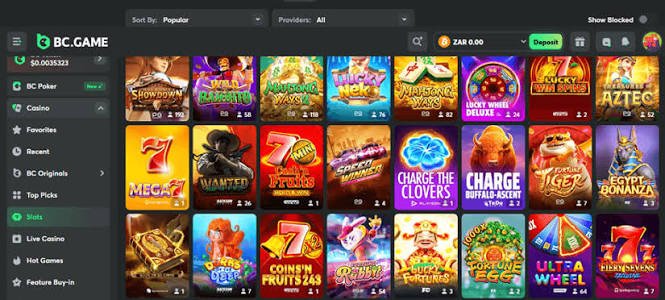 Maximize Your Play with BC.Game Bonuses