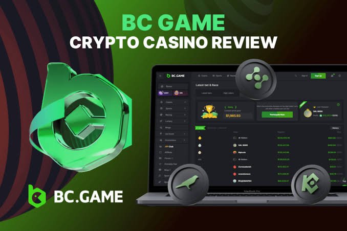 Understanding the BC.CO Login Process A Step-by-Step Guide -320748776